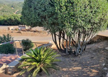 Foto 15 - Villa a Schiera Via li cossi
 
H 101/A, Trinità d'Agultu e Vignola - foto 15