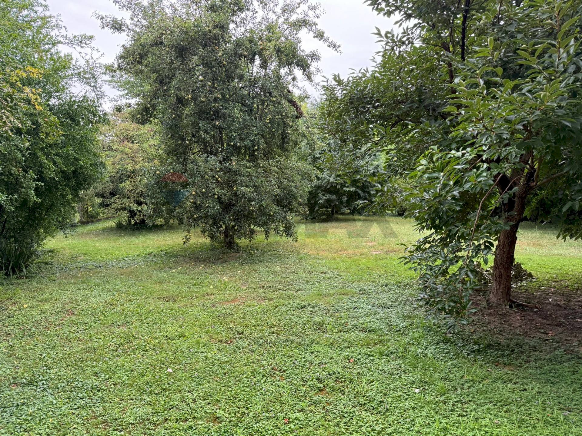 Giardino - Apartment via Antonio Pertile
 
33, Stra - photo 3