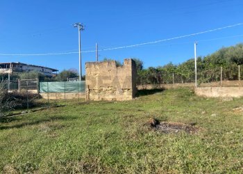 Giardino - Agricultural land Contrada Stancampiano
 
snc, Bagheria - photo 3