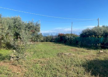 Giardino - Agricultural land Contrada Stancampiano
 
snc, Bagheria - photo 5