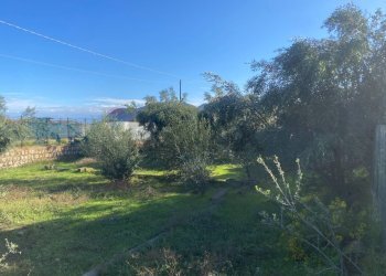 Giardino - Agricultural land Contrada Stancampiano
 
snc, Bagheria - photo 11