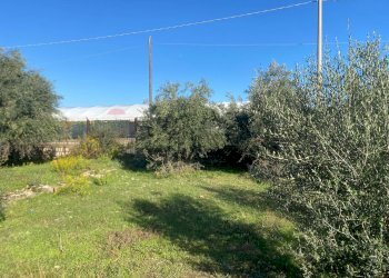 Giardino - Agricultural land Contrada Stancampiano
 
snc, Bagheria - photo 12