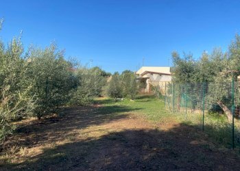 Giardino - Agricultural land Contrada Stancampiano
 
snc, Bagheria - photo 19