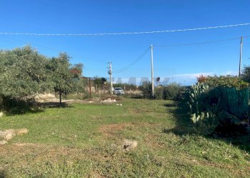 Giardino - Agricultural land Contrada Stancampiano
 
snc, Bagheria - photo 24