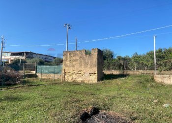 Giardino - Agricultural land Contrada Stancampiano
 
snc, Bagheria - photo 25