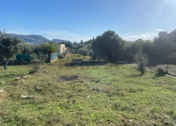 Vista delle montagne - Agricultural land Contrada Stancampiano
 
snc, Bagheria - photo 28