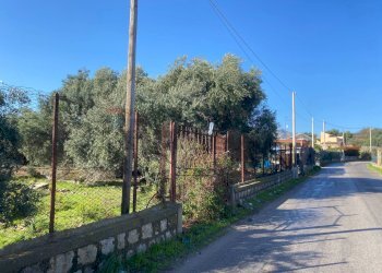 Giardino - Agricultural land Contrada Stancampiano
 
snc, Bagheria - photo 41
