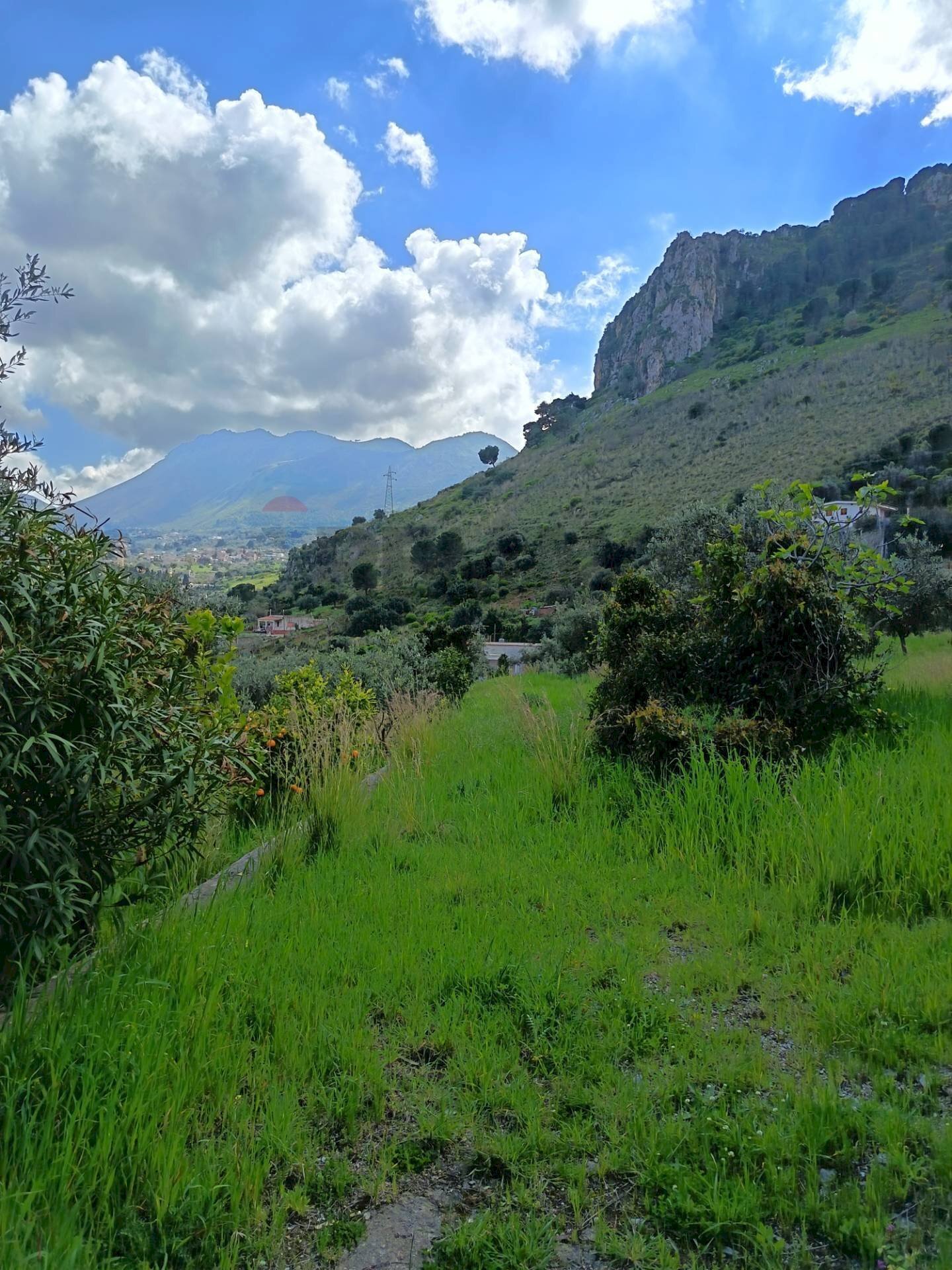 Vista delle montagne - Terreno agricolo via Parisi, Carini - foto 1