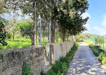 Giardino - Terreno agricolo via Parisi, Carini - foto 9