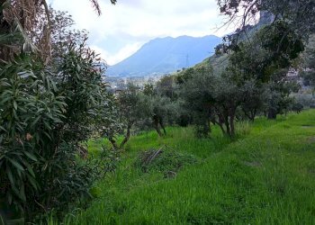 Vista delle montagne - Terreno agricolo via Parisi, Carini - foto 7