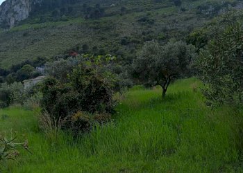 Vista delle montagne - Terreno agricolo via Parisi, Carini - foto 18