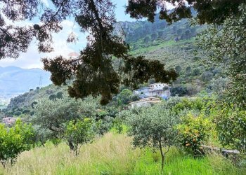 Vista delle montagne - Terreno agricolo via Parisi, Carini - foto 20