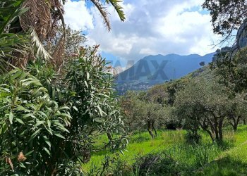 Vista delle montagne - Terreno agricolo via Parisi, Carini - foto 28