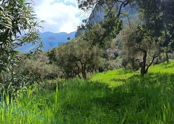 Vista delle montagne - Terreno agricolo via Parisi, Carini - foto 29