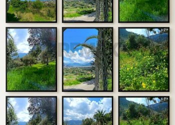 Piscina - Terreno agricolo via Parisi, Carini - foto 2