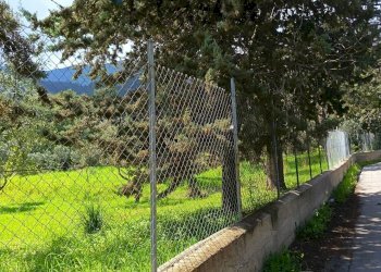 Giardino - Terreno agricolo via Parisi, Carini - foto 35