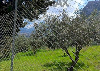 Giardino - Terreno agricolo via Parisi, Carini - foto 36