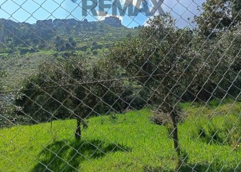 Vista delle montagne - Terreno agricolo via Parisi, Carini - foto 37