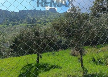 Vista delle montagne - Terreno agricolo via Parisi, Carini - foto 38