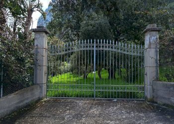 Giardino - Terreno agricolo via Parisi, Carini - foto 39