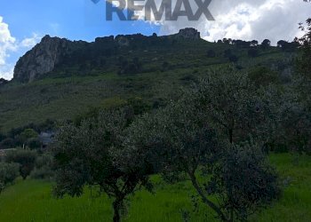 Vista delle montagne - Terreno agricolo via Parisi, Carini - foto 48