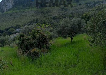 Vista delle montagne - Terreno agricolo via Parisi, Carini - foto 50