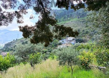 Vista delle montagne - Terreno agricolo via Parisi, Carini - foto 52
