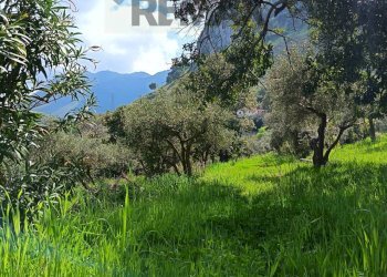 Vista delle montagne - Terreno agricolo via Parisi, Carini - foto 63