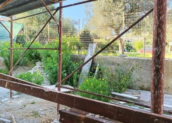 Giardino - Villa a Schiera via Calarossa, Terrasini - foto 32