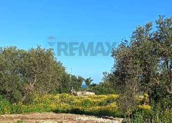 Giardino - Villa a Schiera via Calarossa, Terrasini - foto 41