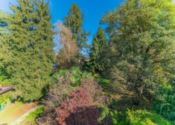 Giardino - Villa Castelletto Sopra Ticino - foto 32