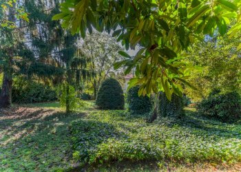 Giardino - Villa Castelletto Sopra Ticino - foto 57