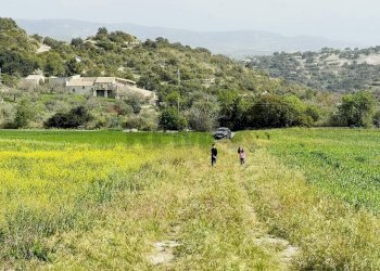 Vista delle montagne - Terreno edificabile C.da Albarcara
 
sn, Modica - foto 5