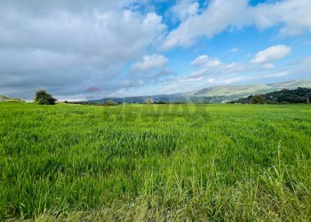 Giardino - Terreno edificabile C.da Albarcara
 
sn, Modica - foto 6
