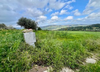 Giardino - Terreno edificabile C.da Albarcara
 
sn, Modica - foto 9