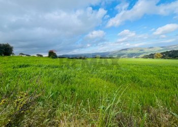 Giardino - Terreno edificabile C.da Albarcara
 
sn, Modica - foto 12