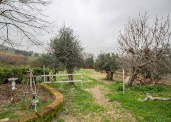 Giardino - Casa semi indipendente strada per Casalincontrada
 
38, Chieti - foto 13