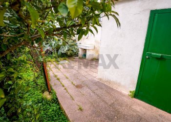 Giardino - Casa semi indipendente Viale Discesa del Monte
 
7, Conversano - foto 17