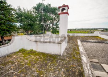 Giardino - Casa semi indipendente Viale Discesa del Monte
 
7, Conversano - foto 19