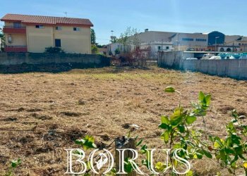 Foto 7 - Terreno agricolo via Milano, Castel Volturno - foto 7