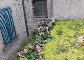 Foto 16 - Independent house VIA TOSCO ROMAGNOLA
 
34, Bibbiena - photo 16