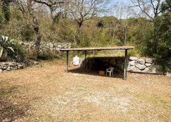 Giardino - Villa Ausonia - foto 16