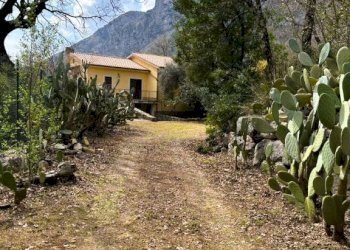 Giardino - Villa Ausonia - foto 17