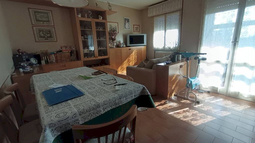 Salone - Quadrilocale via Fratelli Rosselli, 51, Ravarino - foto 2