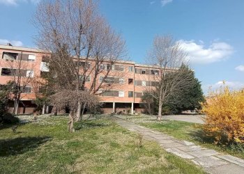 Giardino - Quadrilocale via Fratelli Rosselli, 51, Ravarino - foto 15