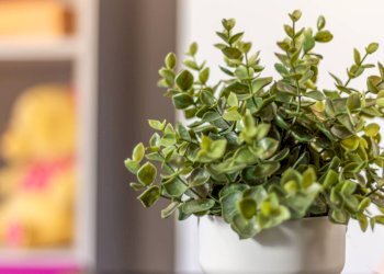 Foto 23 - Three-room apartment Via Circonvallazione Est
28/1, Castello d'Argile - photo 23