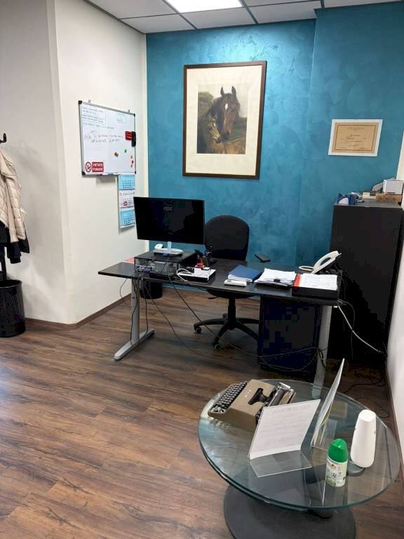 Ufficio - Shop via Angelo Orsini, Genova (neighborhood Albaro) - photo 3