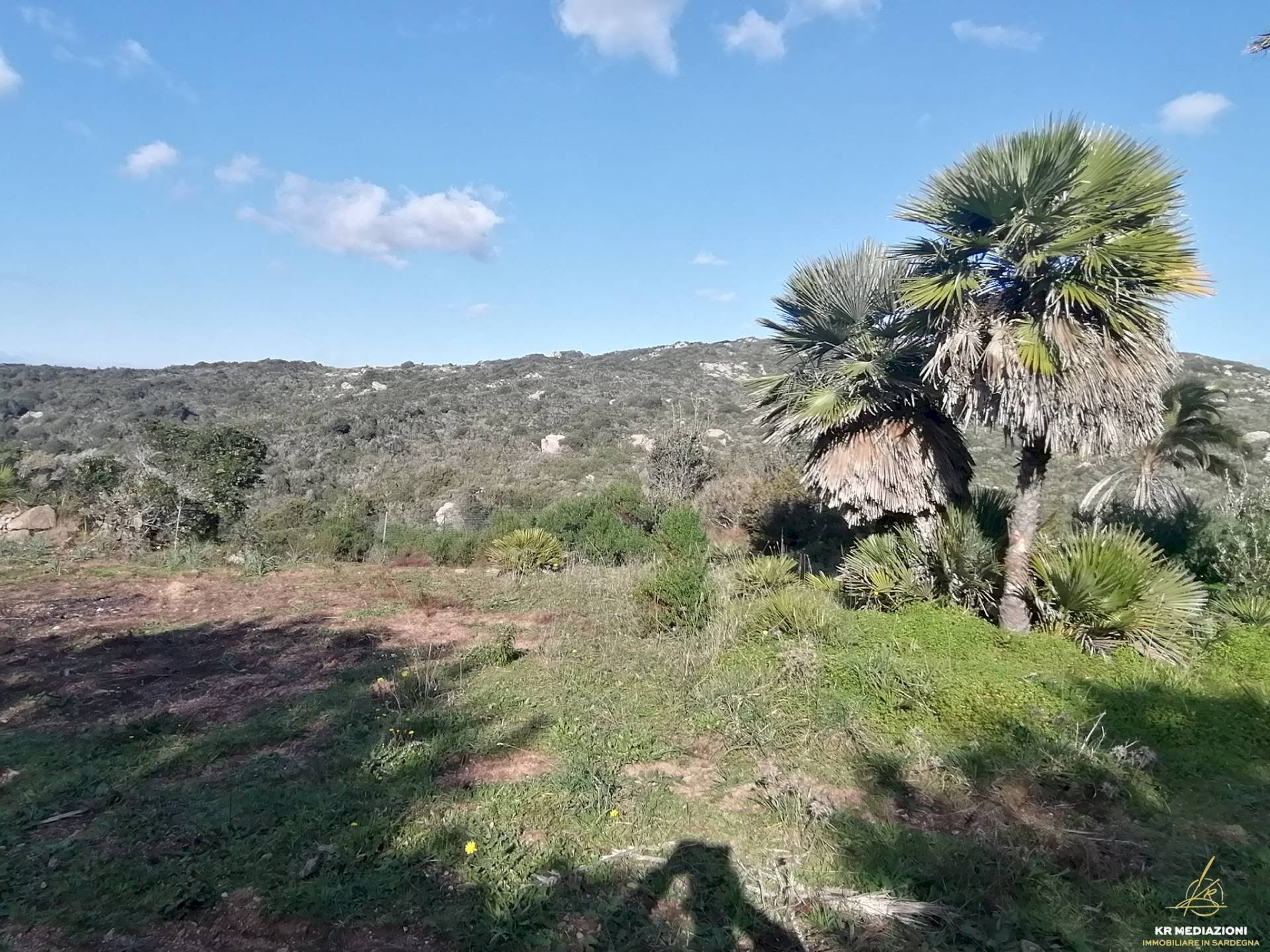 Foto 1 - Terreno agricolo Aglientu - foto 1