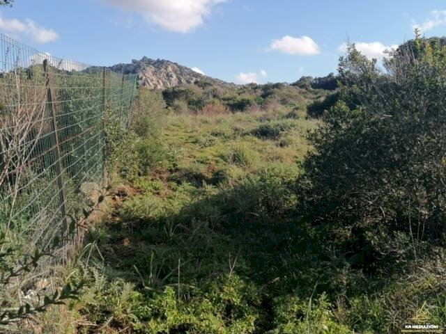 Foto 2 - Terreno agricolo Aglientu - foto 2