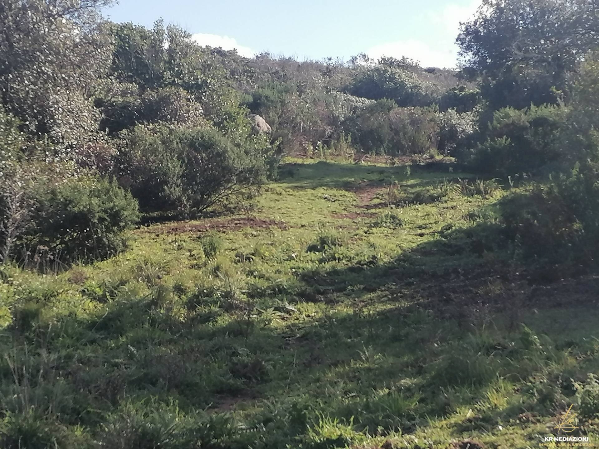 Foto 3 - Terreno agricolo Aglientu - foto 3